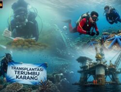 Lewat Program Jaga Pesisir Kita dan Rig to Reef, PHI Dorong Keberlanjutan Lingkungan Bawah Laut Regional Kalimantan